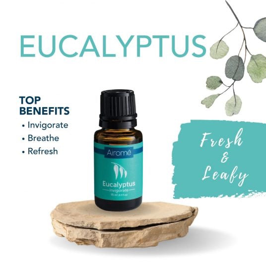 Eucalyptus Essential Oil