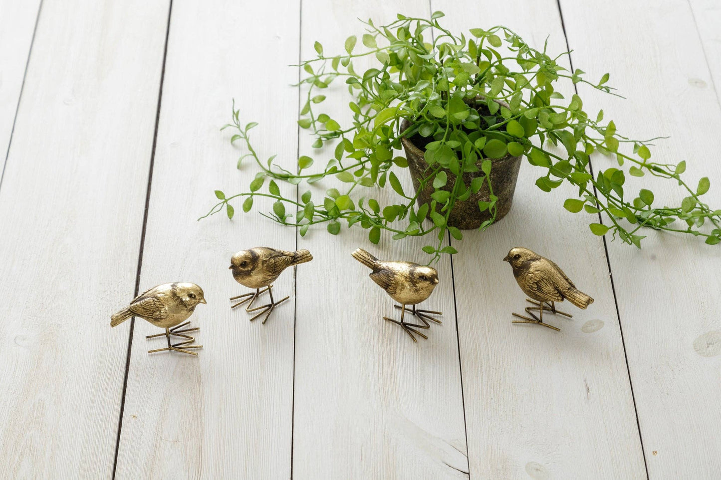 Set of four brass bird figurines displayed on a white wooden surface with a green potted plant. Ideal for enhancing home decor with a vintage touch.